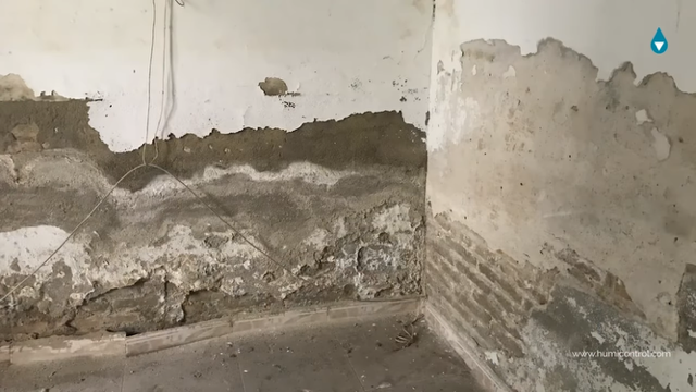 Schäden durch Kapillarwasser